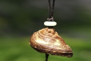 海灘驚現(xiàn)怪獸尸體掛件_天然沉香掛件廠家供應(yīng)_買(mǎi)廠家供批發(fā)價(jià)格_歸于真(廈門(mén))文化藝術(shù)-展銷(xiāo)頻道