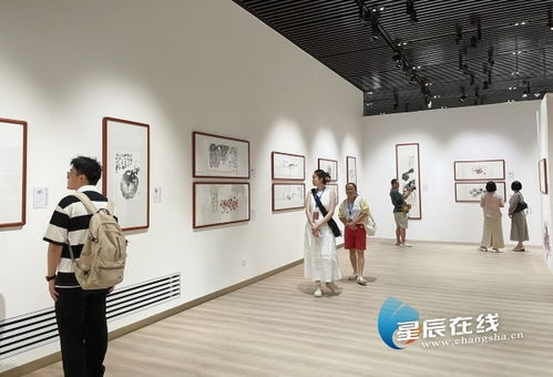 近百件藝術(shù)精品展現(xiàn)墨韻里的鄉(xiāng)愁 湘籍畫(huà)家蘇高宇作品展在長(zhǎng)沙開(kāi)幕